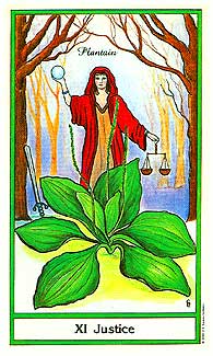 herbaltarot2