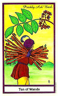 herbaltarot4