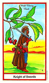 herbaltarot6