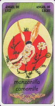 tarot_of_magic_herbs5