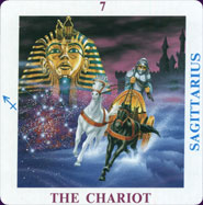 starlot_tarot3