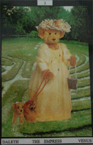 ursidae_tarot2